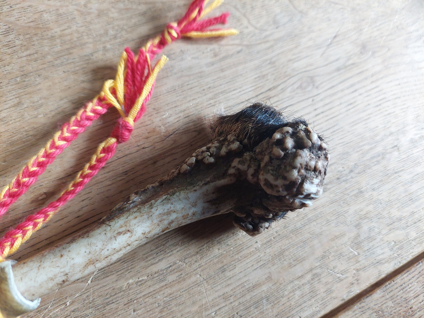 Yak hide and roe deer antler rattle