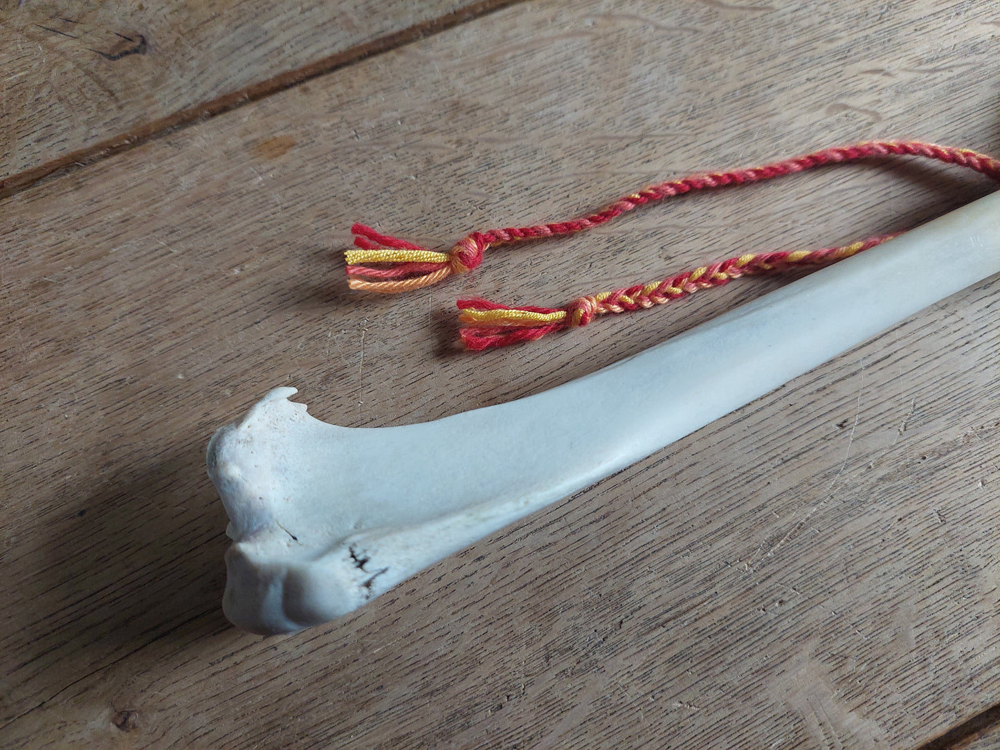 Red deer hide and red deer leg bone rattle