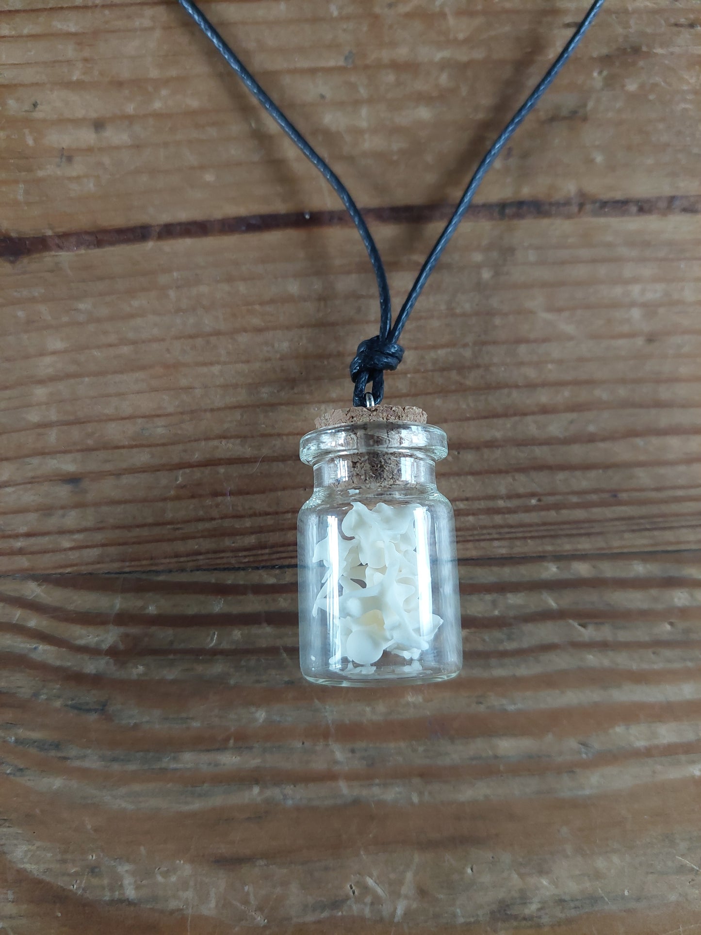 Grass snake vertebrae amulet necklace