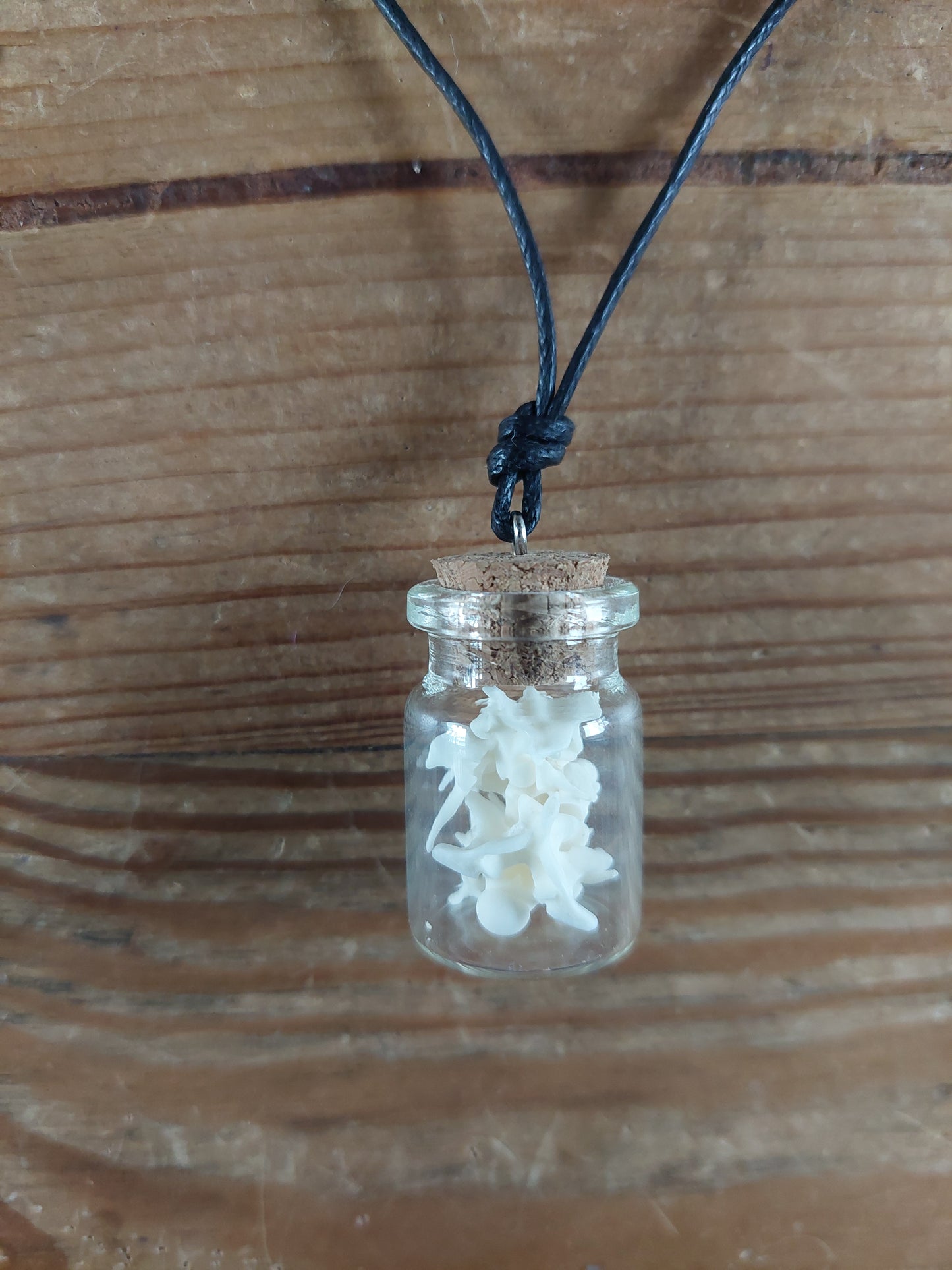 Grass snake vertebrae amulet necklace