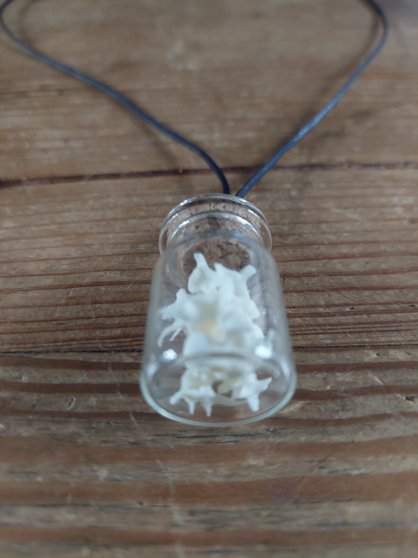 Grass snake vertebrae amulet necklace