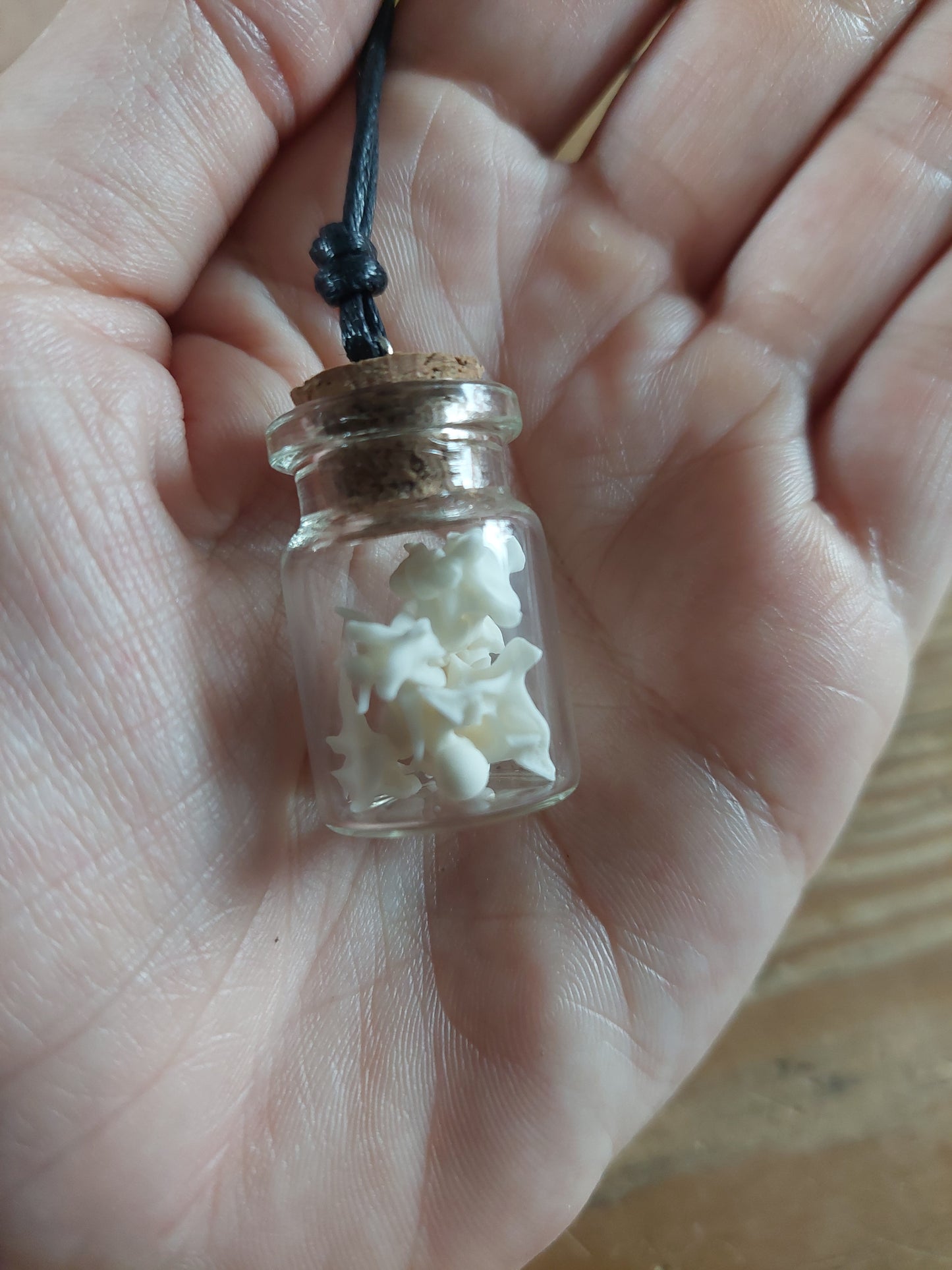 Grass snake vertebrae amulet necklace