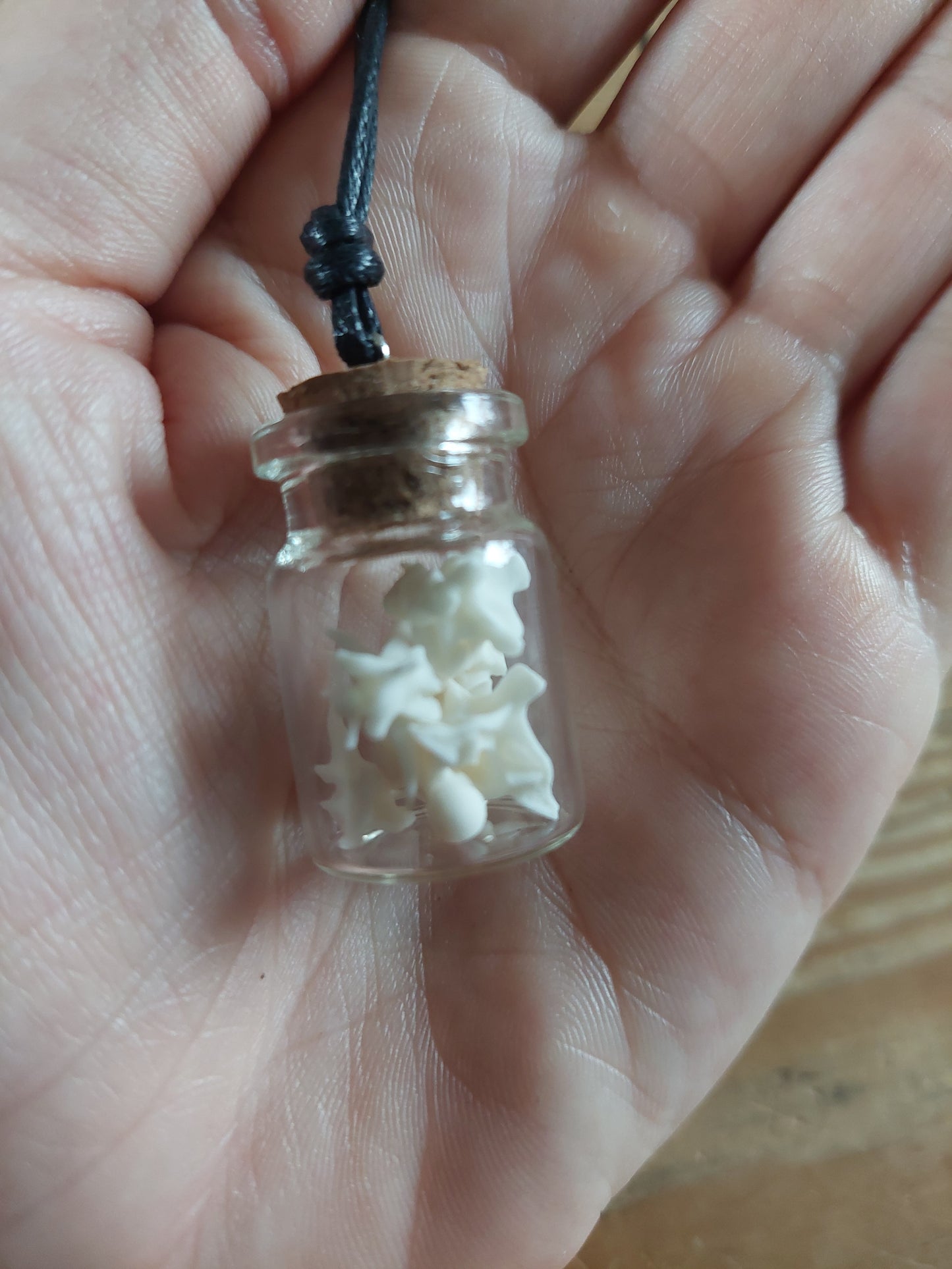Grass snake vertebrae amulet necklace