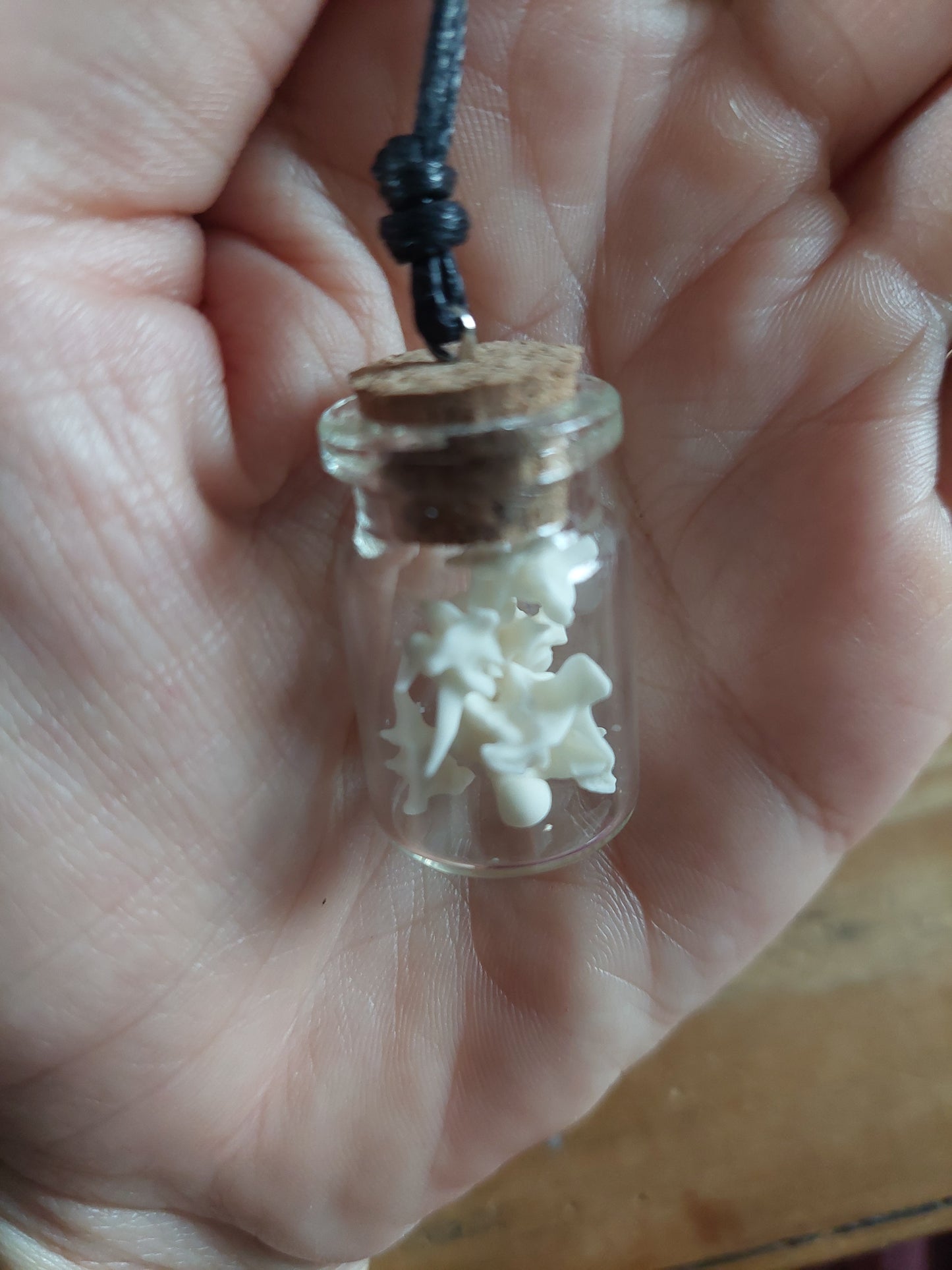 Grass snake vertebrae amulet necklace