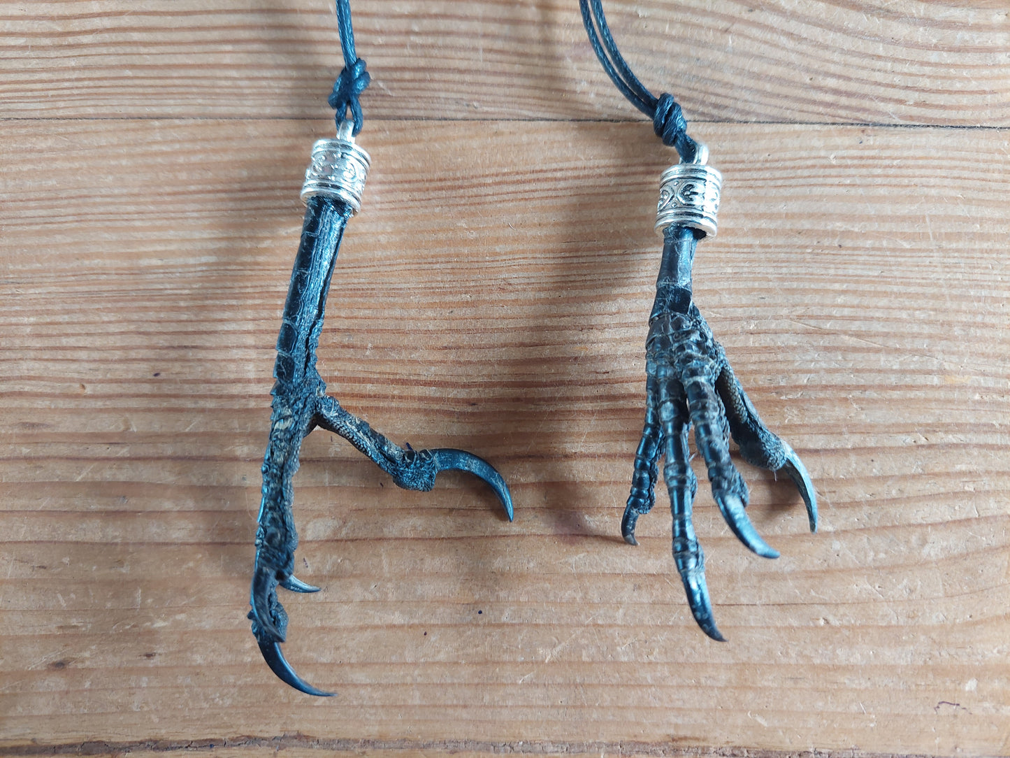 Crow claw amulet necklace