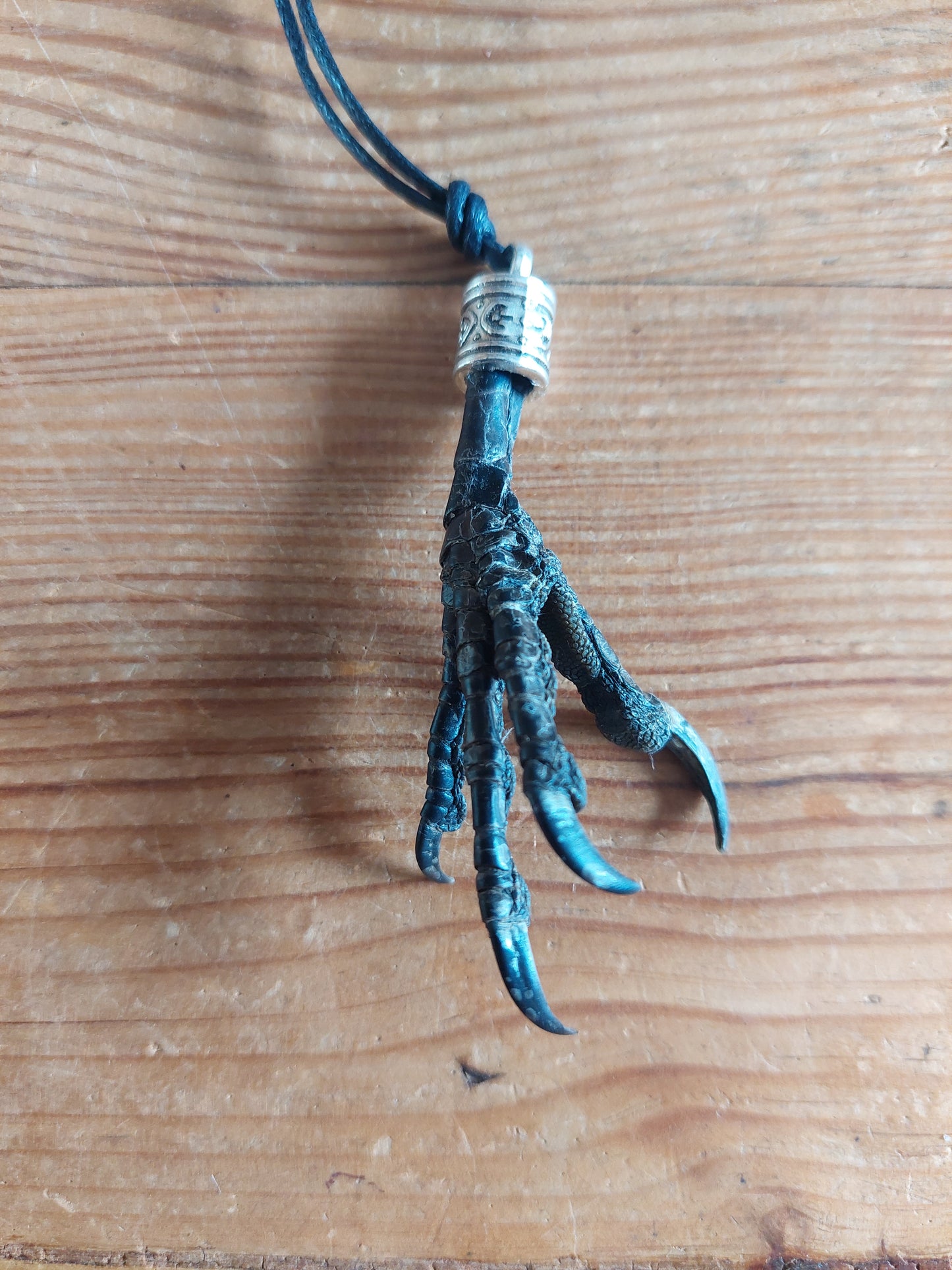Crow claw amulet necklace