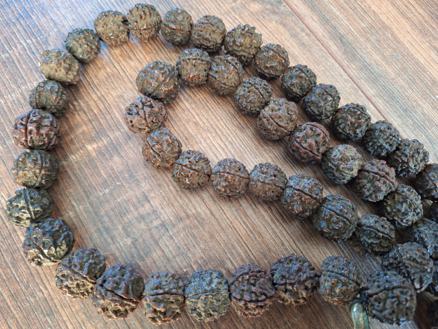 Old Nepalese shamanic rudraksha necklace #16