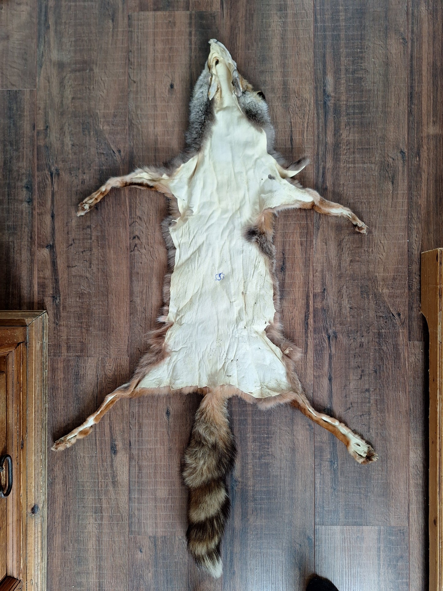 Red fox hide #12