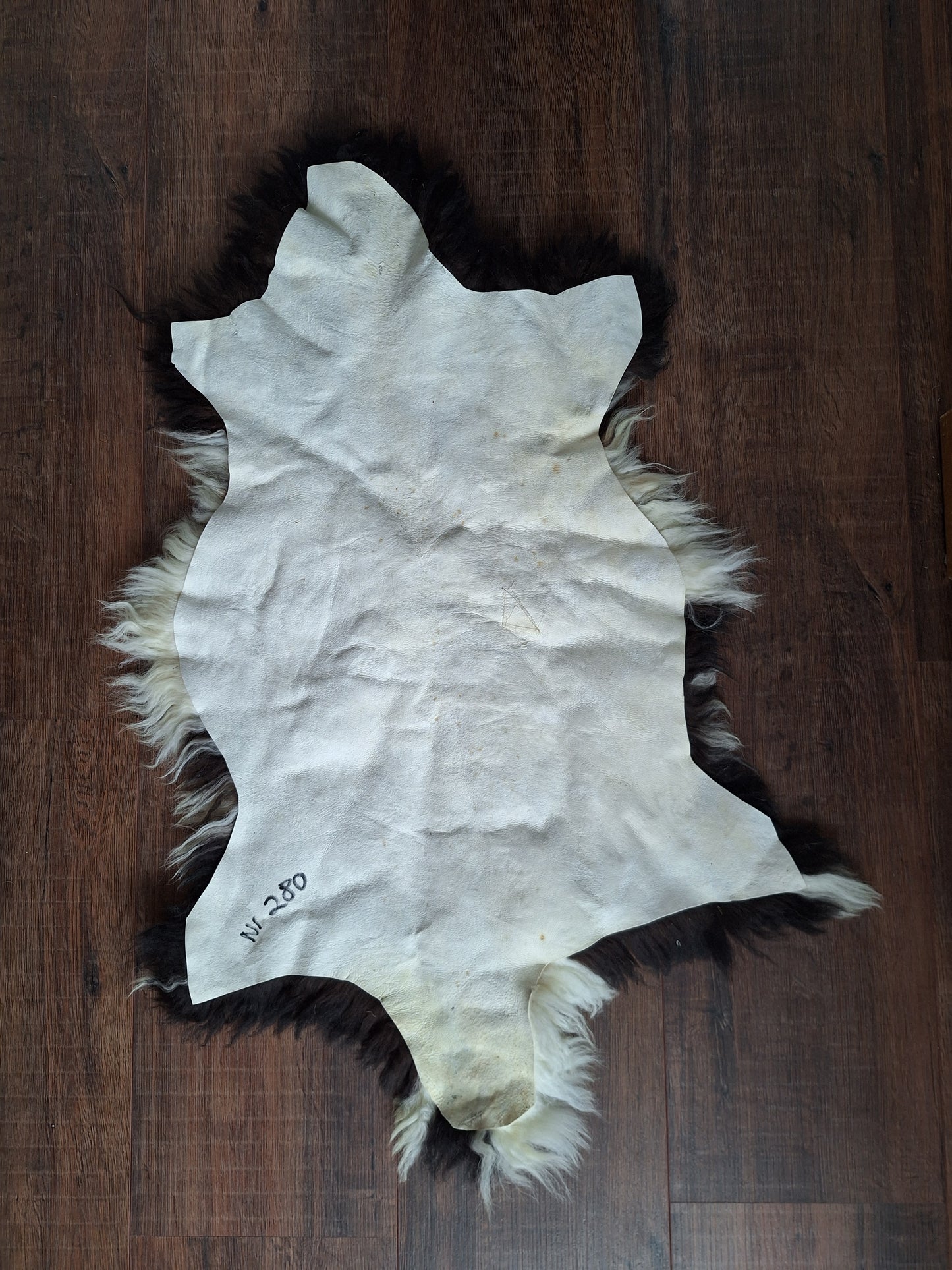 Sheep hide #7