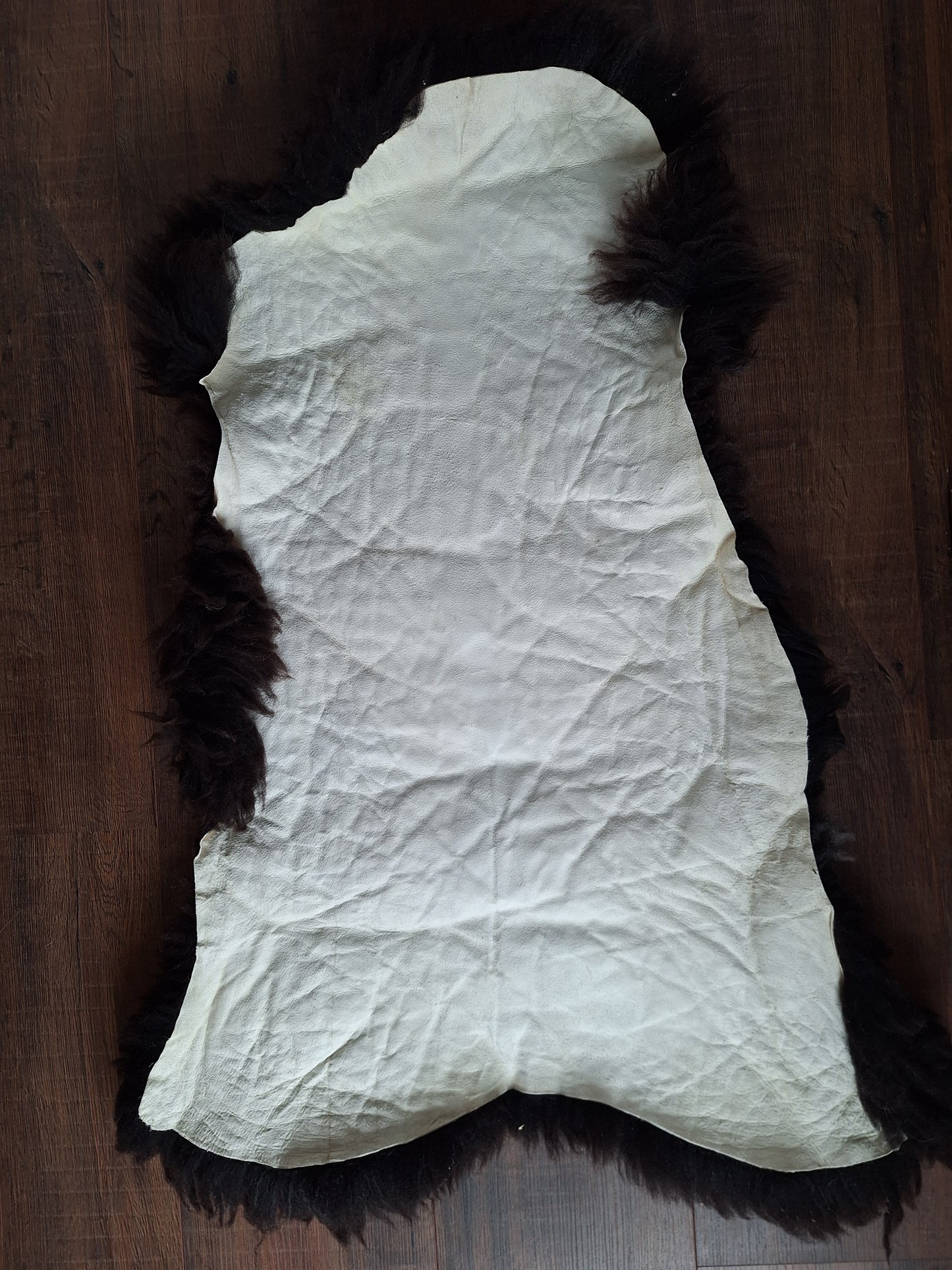 Sheep hide #10