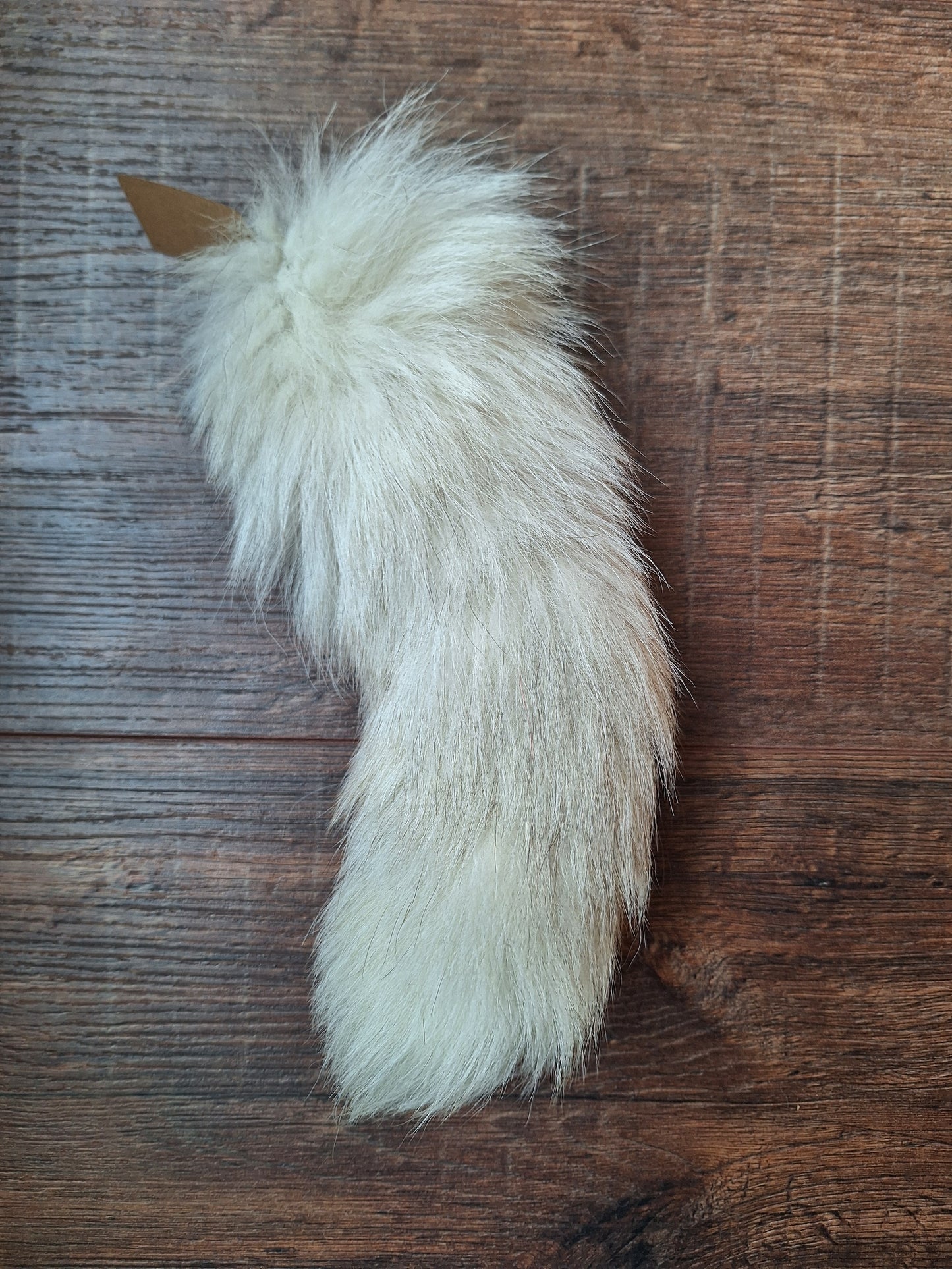 Polar fox tails