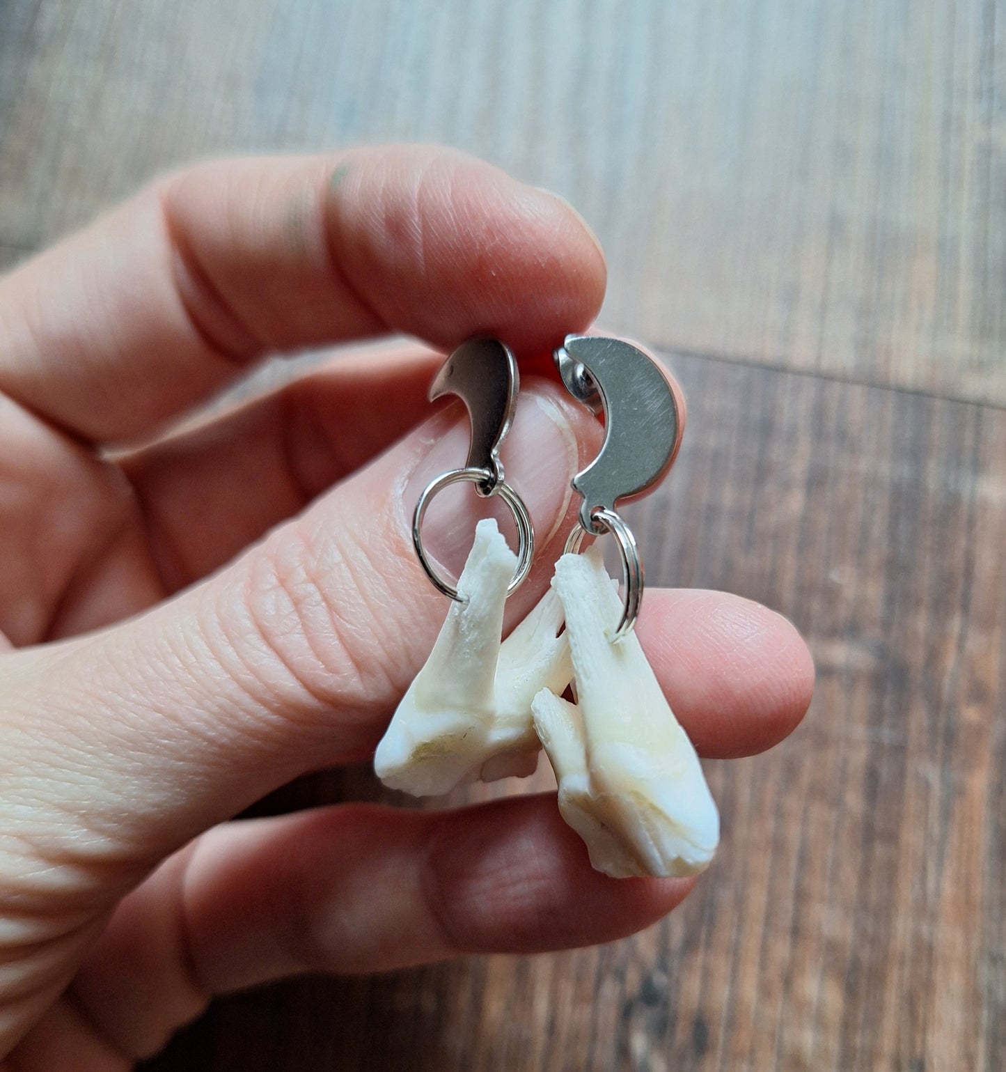 Roe deer teeth amulet earrings