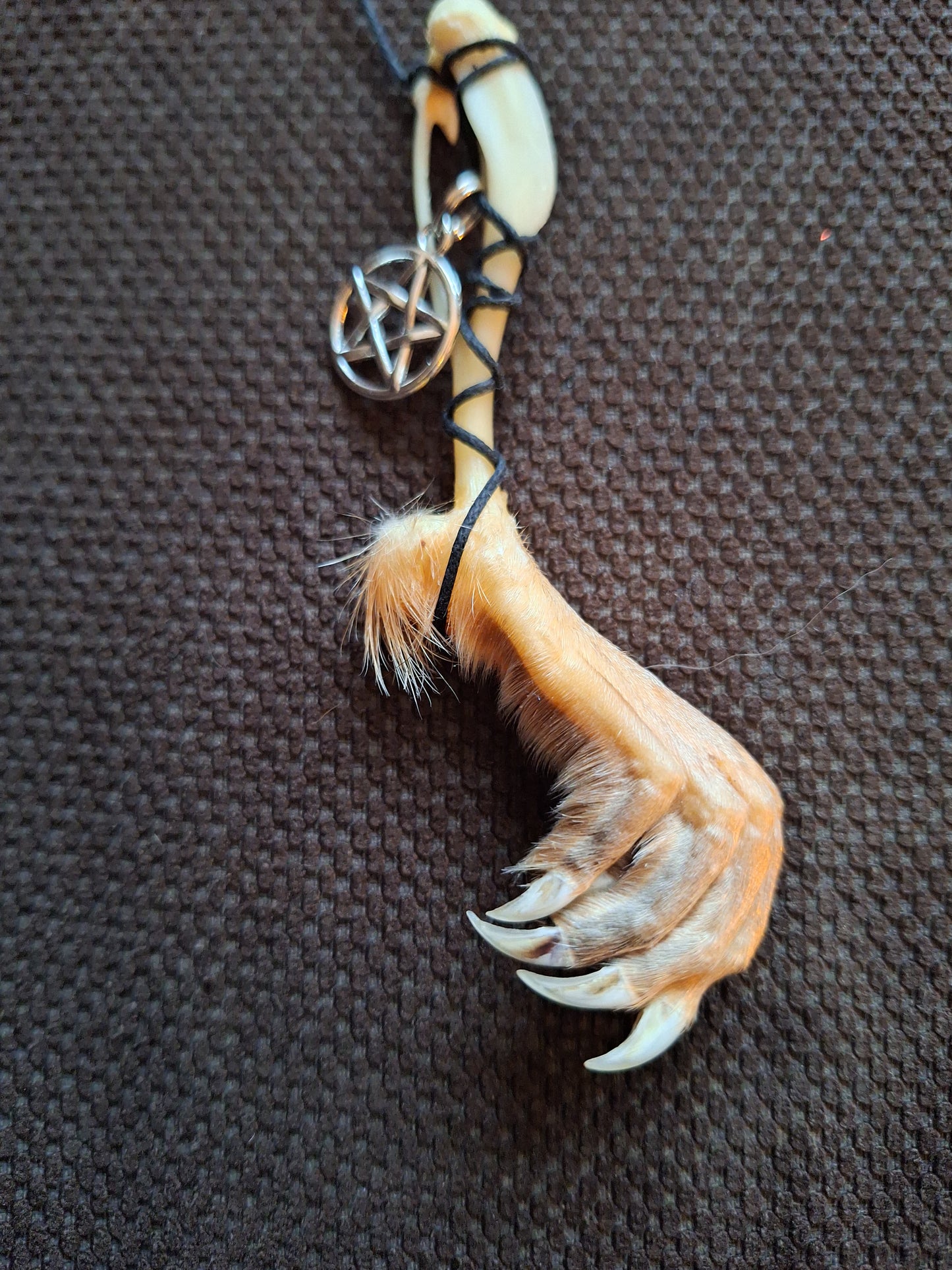 Musk rat paw and pentagram amulet necklace