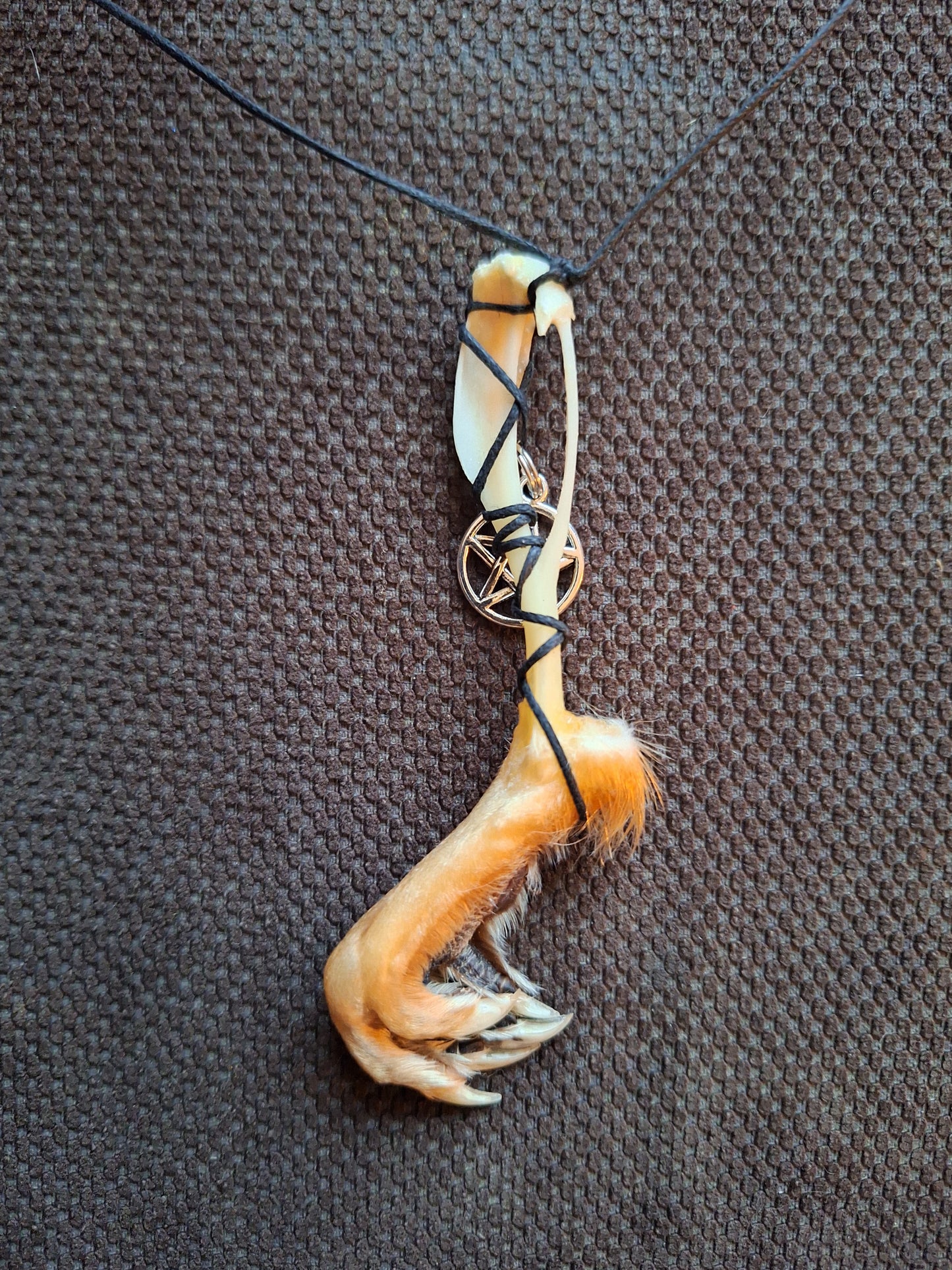 Musk rat paw and pentagram amulet necklace