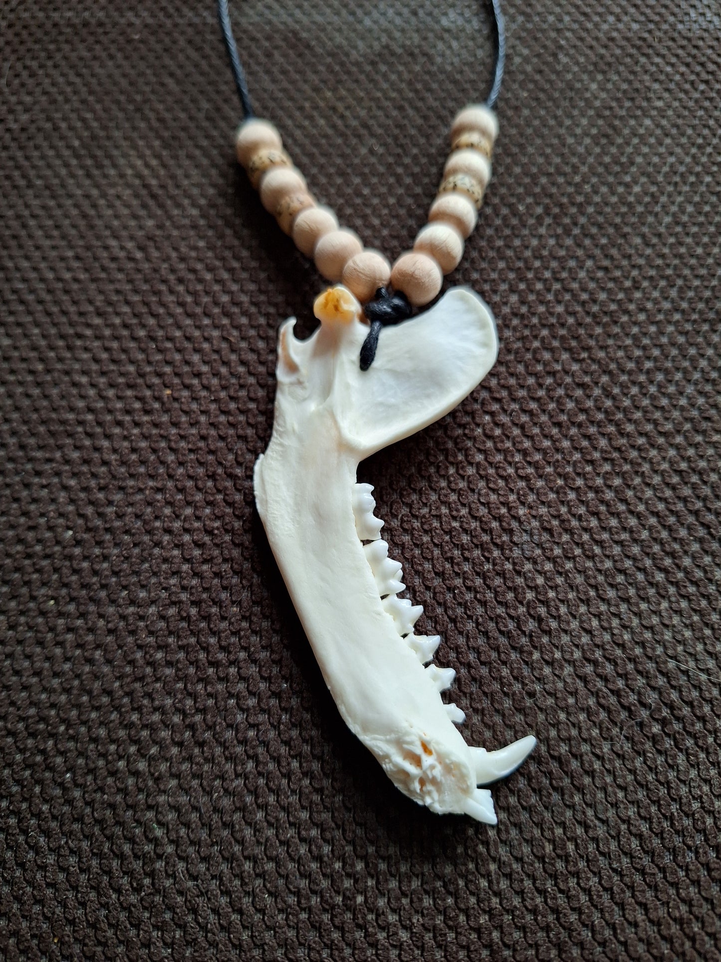 Racoon jaw bone with yak bone skull and wooden beads amulet necklace