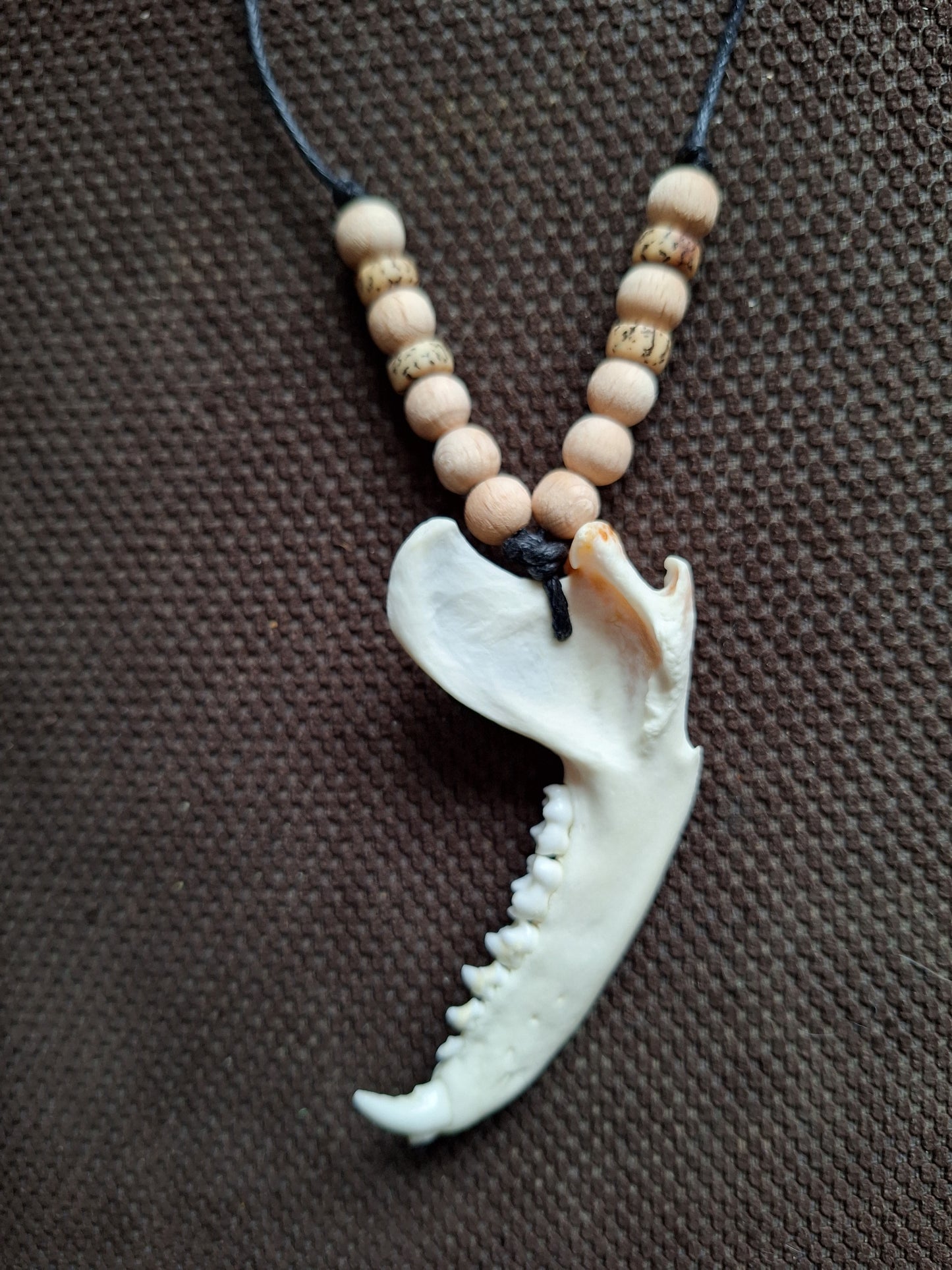 Racoon jaw bone with yak bone skull and wooden beads amulet necklace