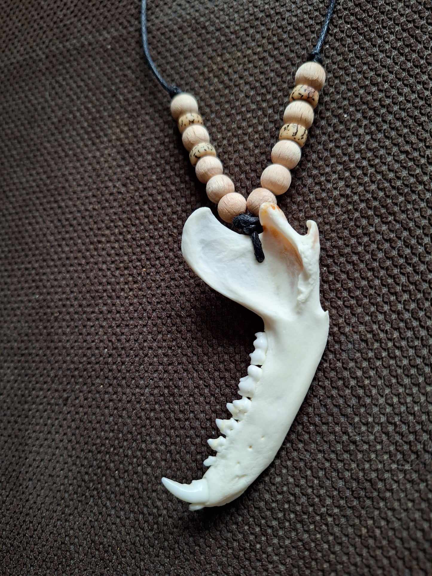 Racoon jaw bone with yak bone skull and wooden beads amulet necklace