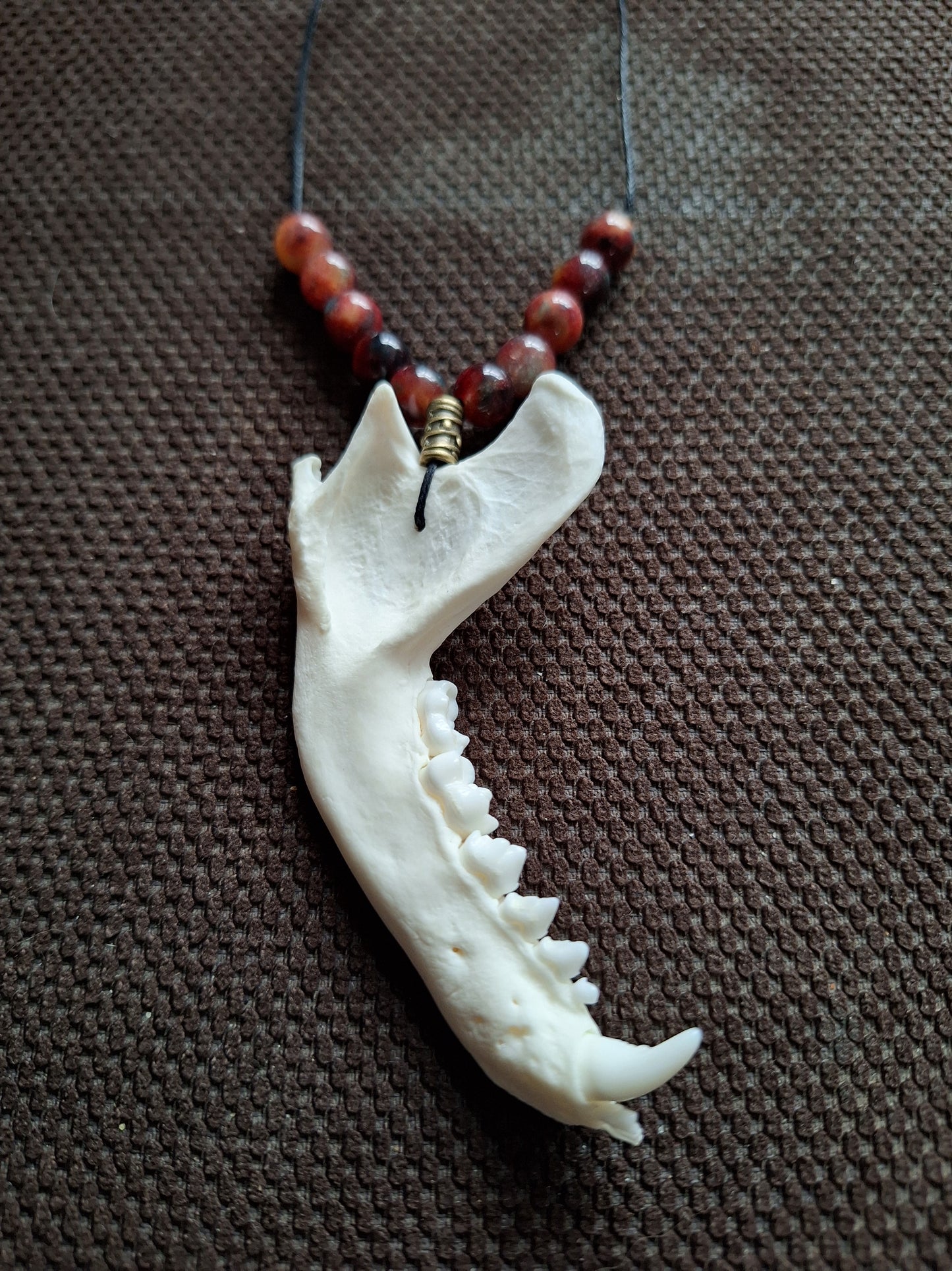 Racoon jaw bone and dragon's blood stone amulet necklace #1