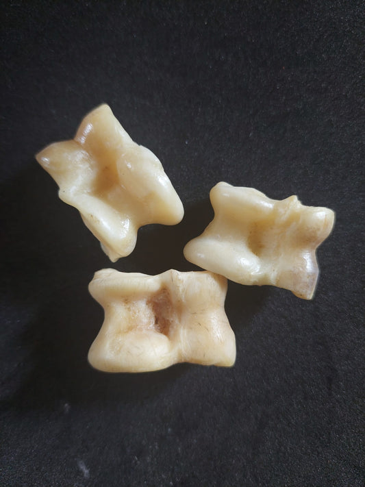 Khaziki