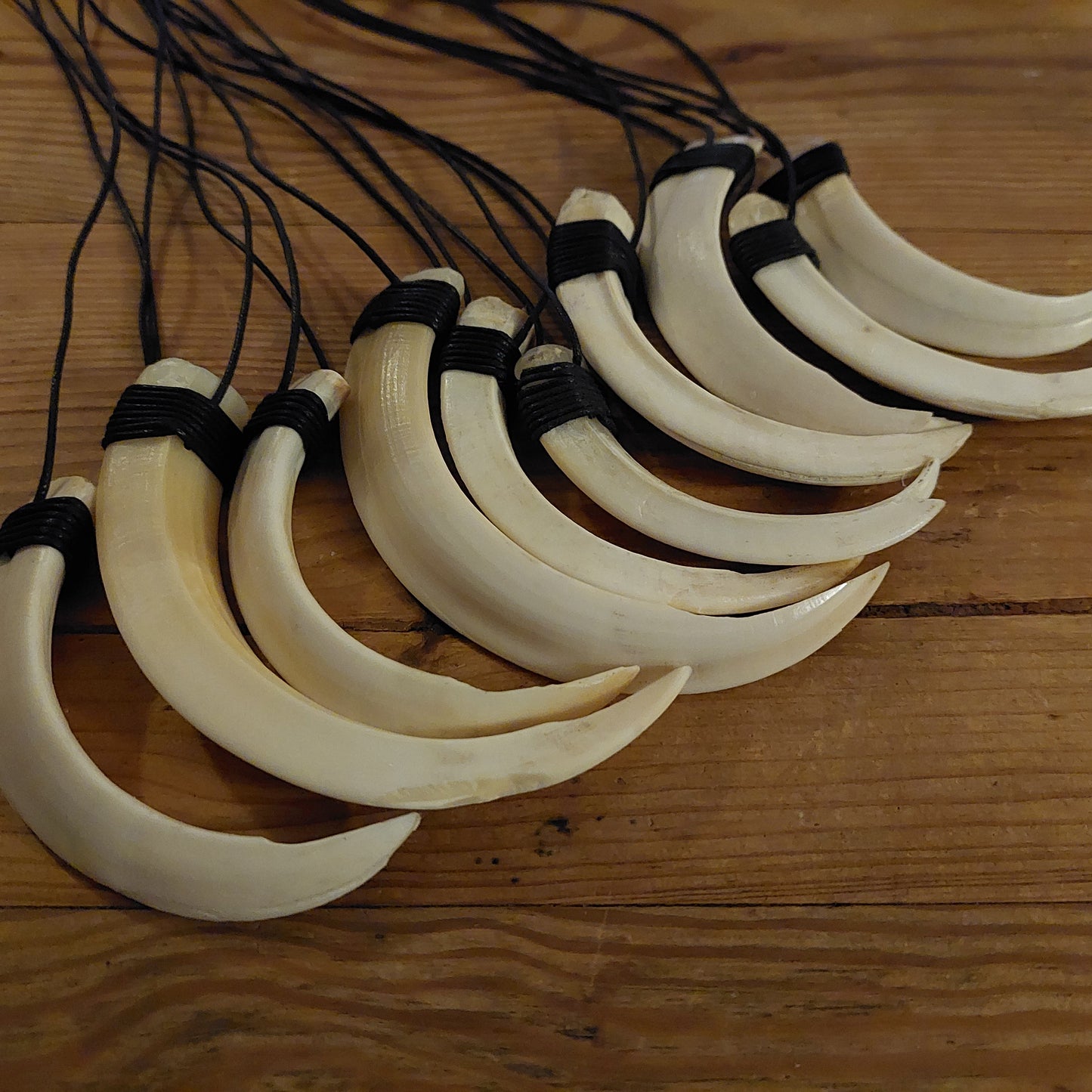 Wild boar tusk amulet necklace