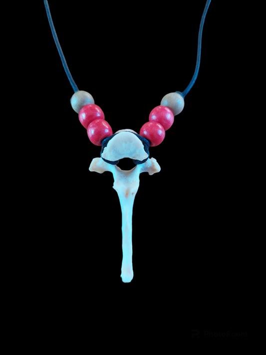 Fox vertebra amulet necklace #1