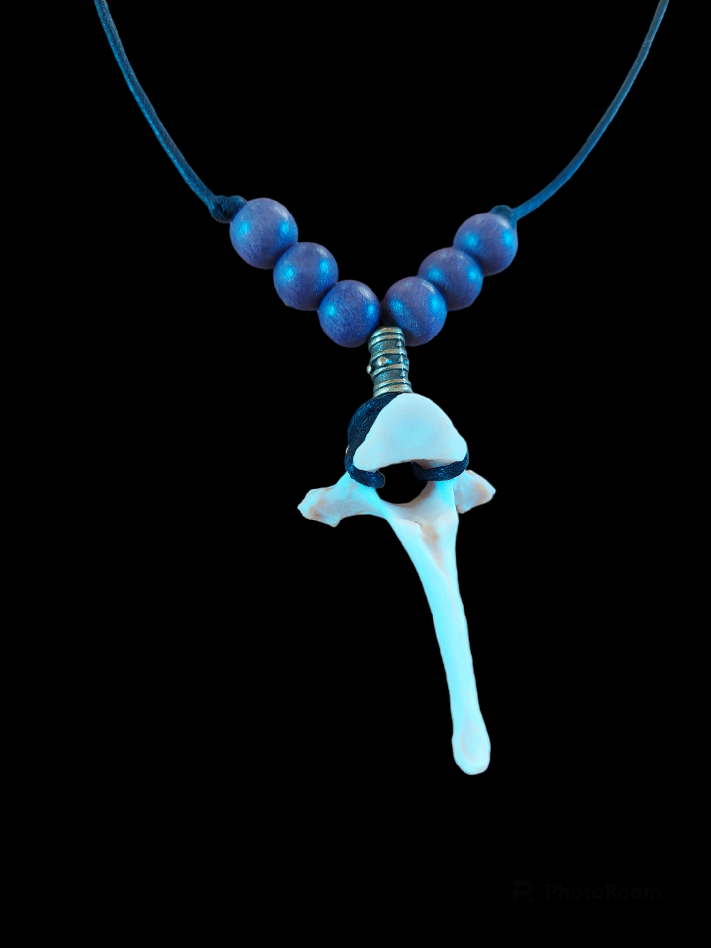 Fox vertebra amulet necklace #5