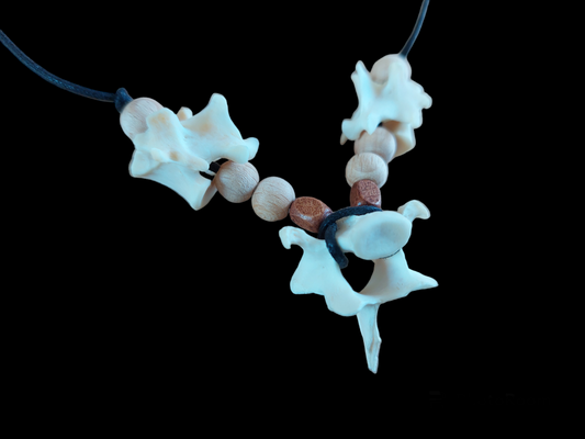 Fox vertebrae amulet necklace #6