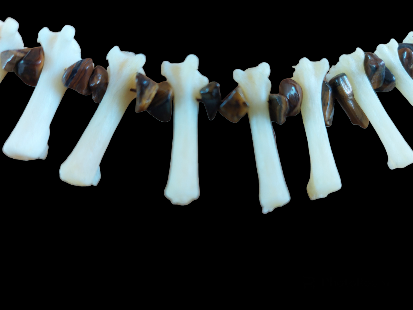Fox tail bones and tiger's eye amulet necklace