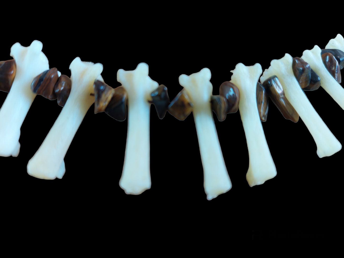 Fox tail bones and tiger's eye amulet necklace