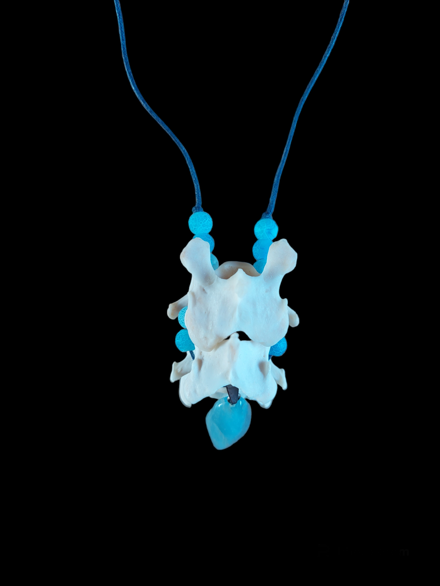 Fox vertebrae throat chakra healing amulet necklace