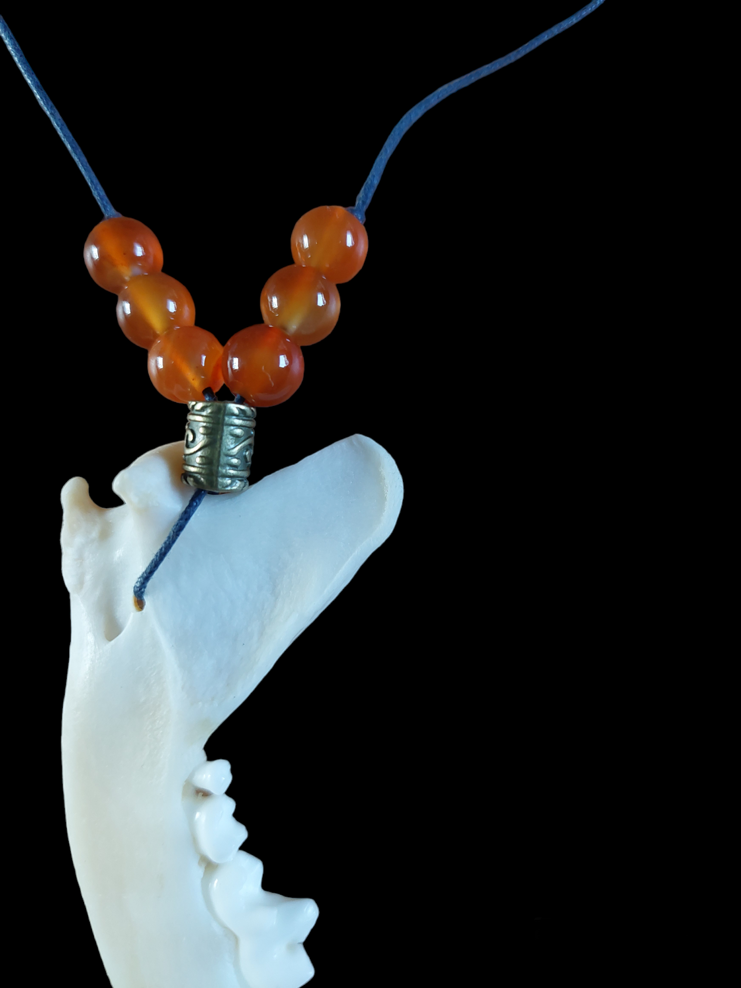 Fox jaw bone with crystal and carnelion amulet necklace