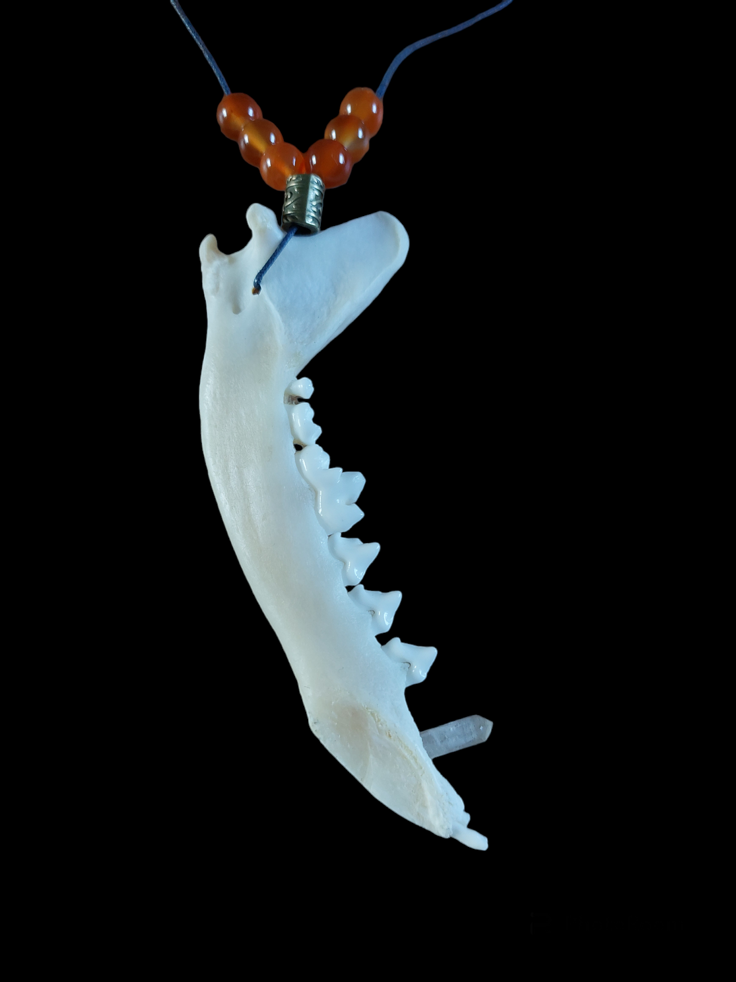 Fox jaw bone with crystal and carnelion amulet necklace