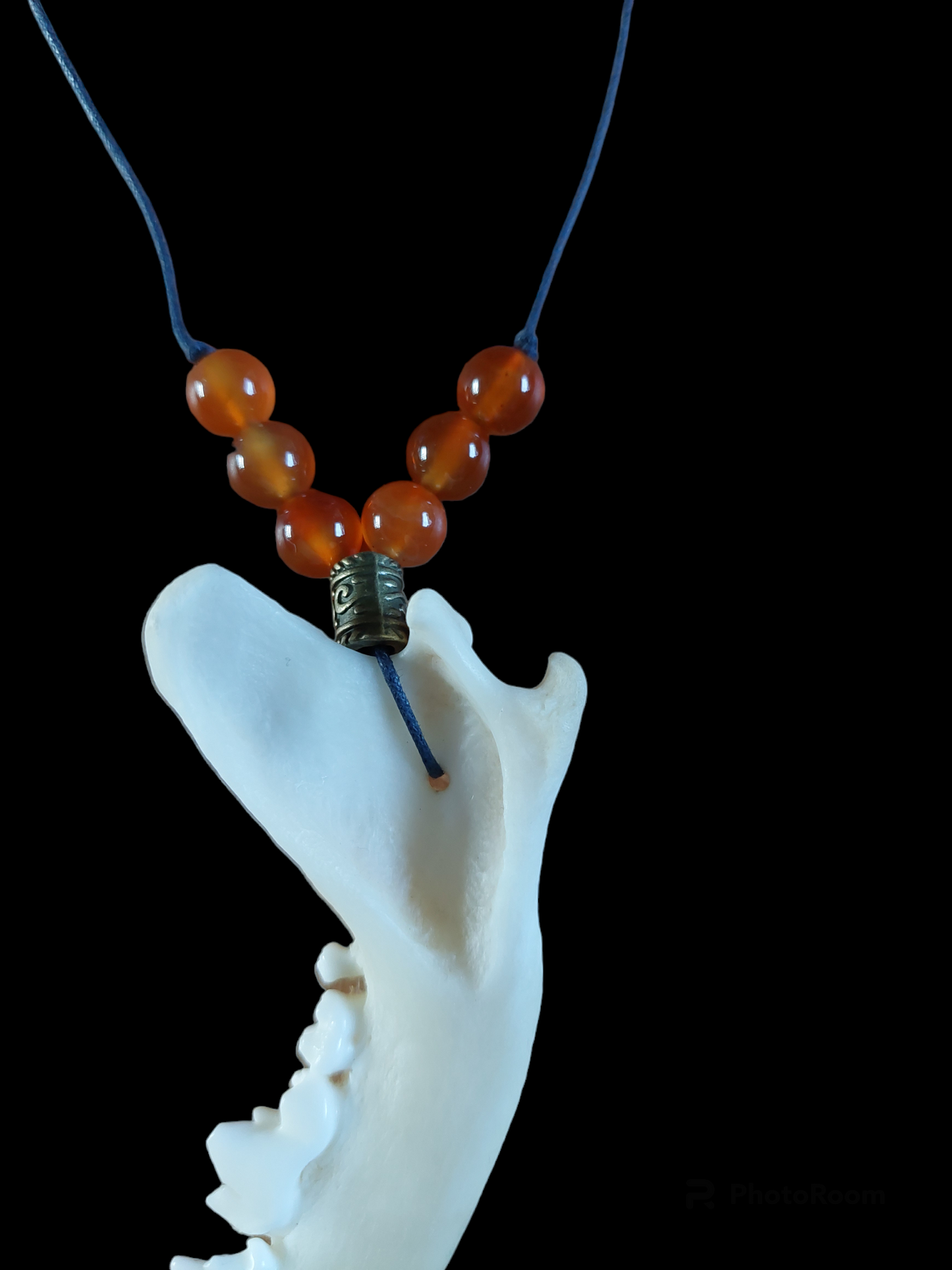 Fox jaw bone with crystal and carnelion amulet necklace