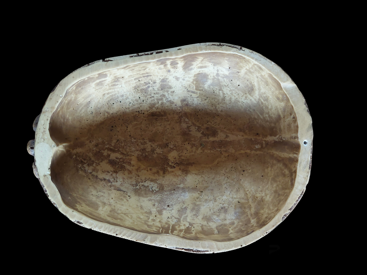 Kapala with wrathful deity depiction