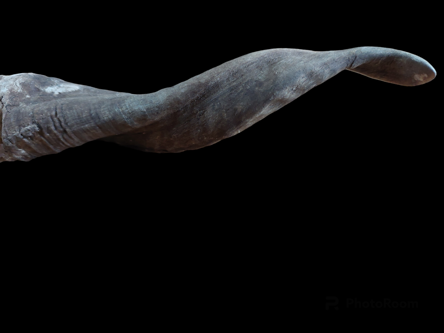 Old Nepalese shamanic horn stick #1