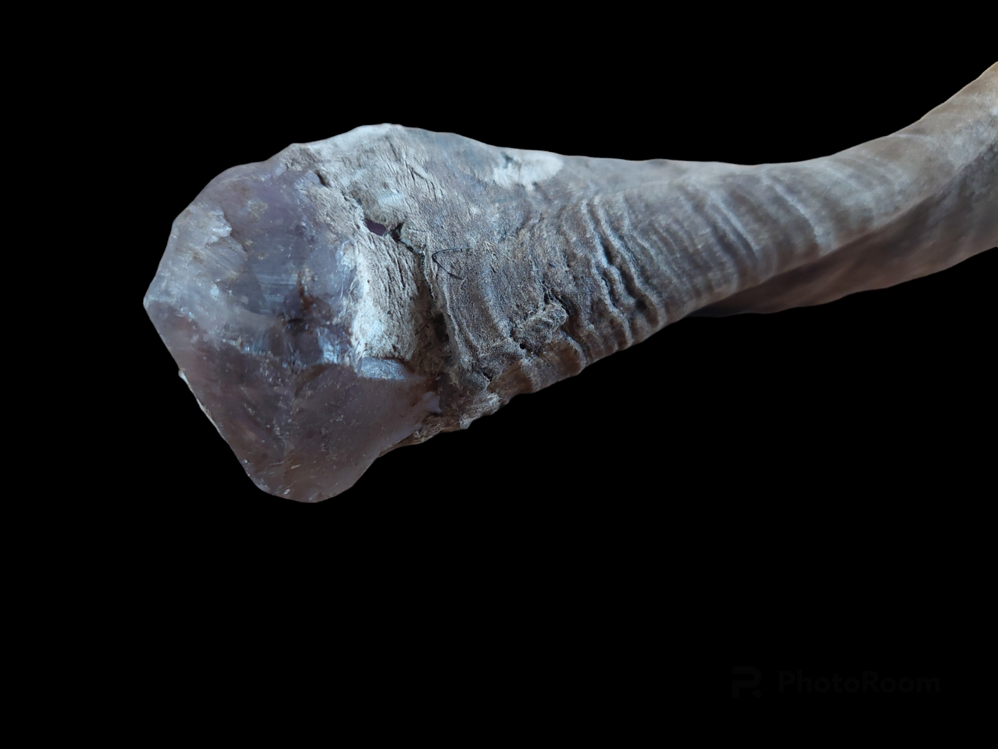 Old Nepalese shamanic horn stick #1