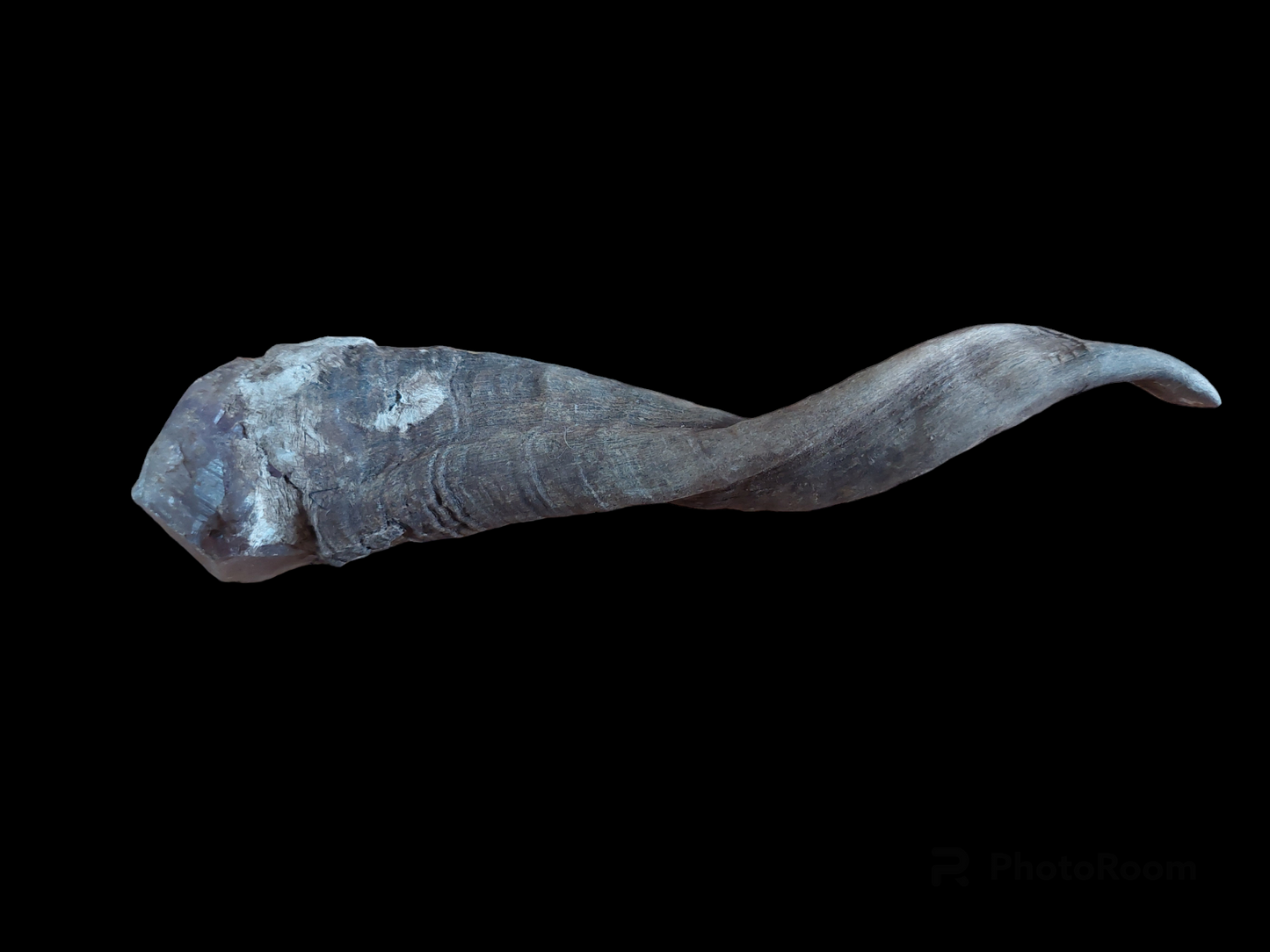 Old Nepalese shamanic horn stick #1