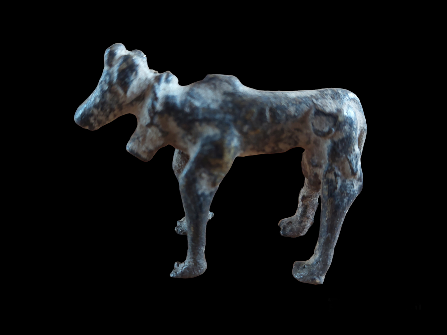 Antique Jajarkot tribal five-legged cow figurine #1