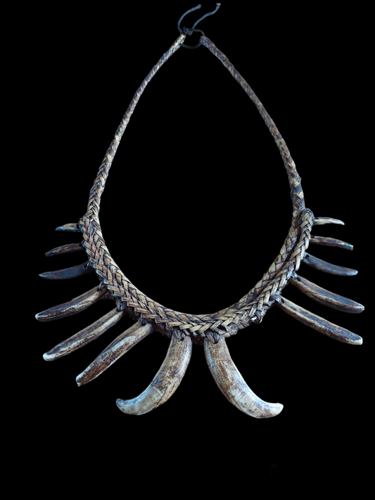 Ifugao tribal wild boar teeth necklace