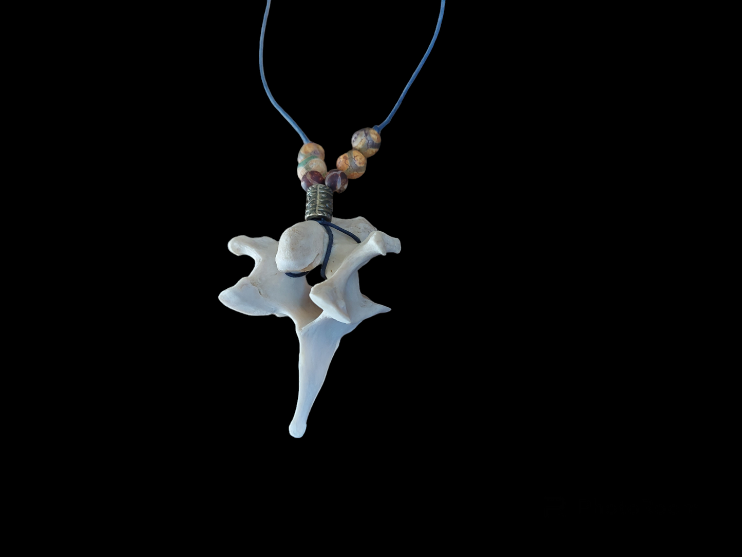 Roe deer vertebra amulet necklace