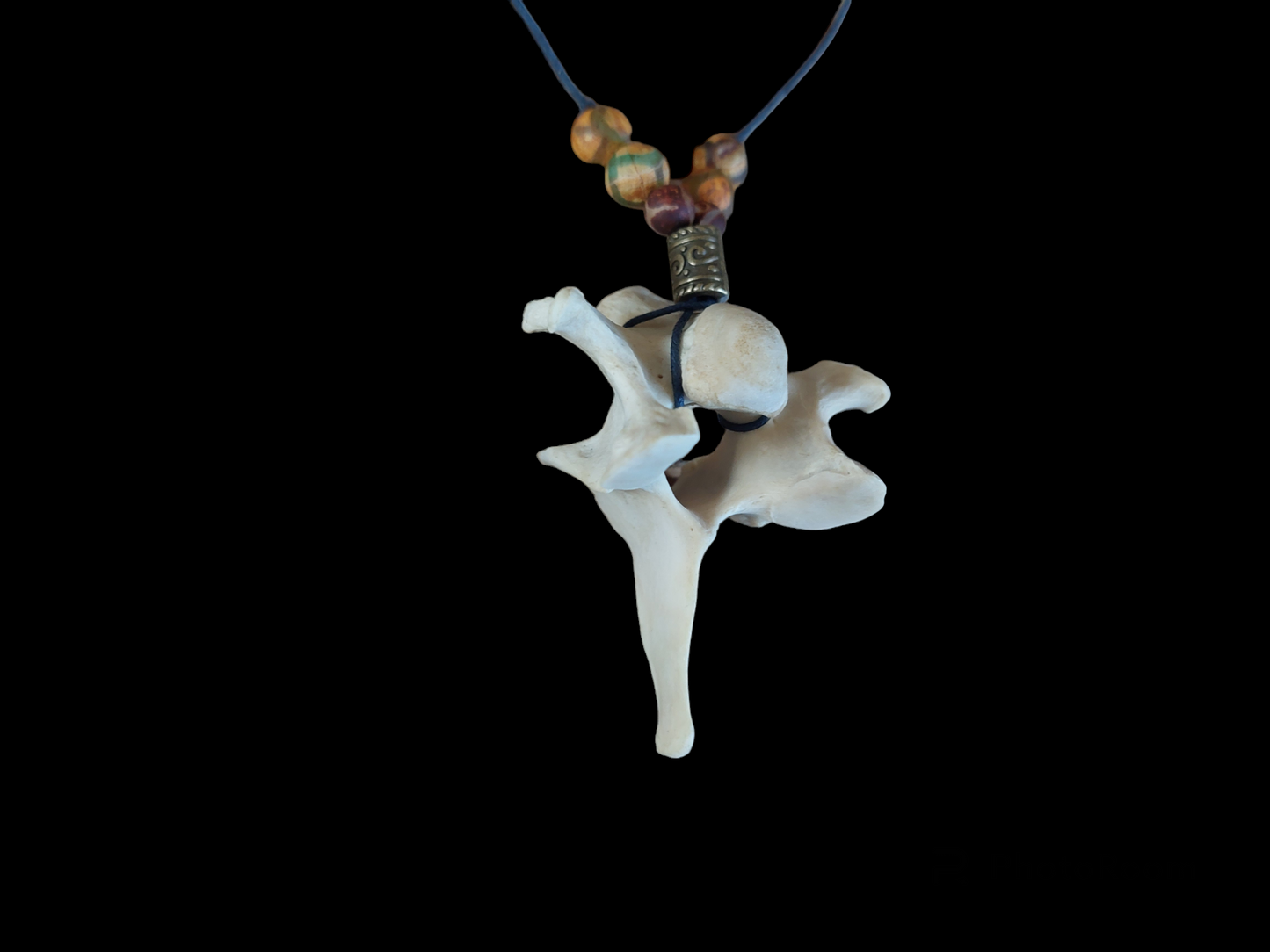 Roe deer vertebra amulet necklace