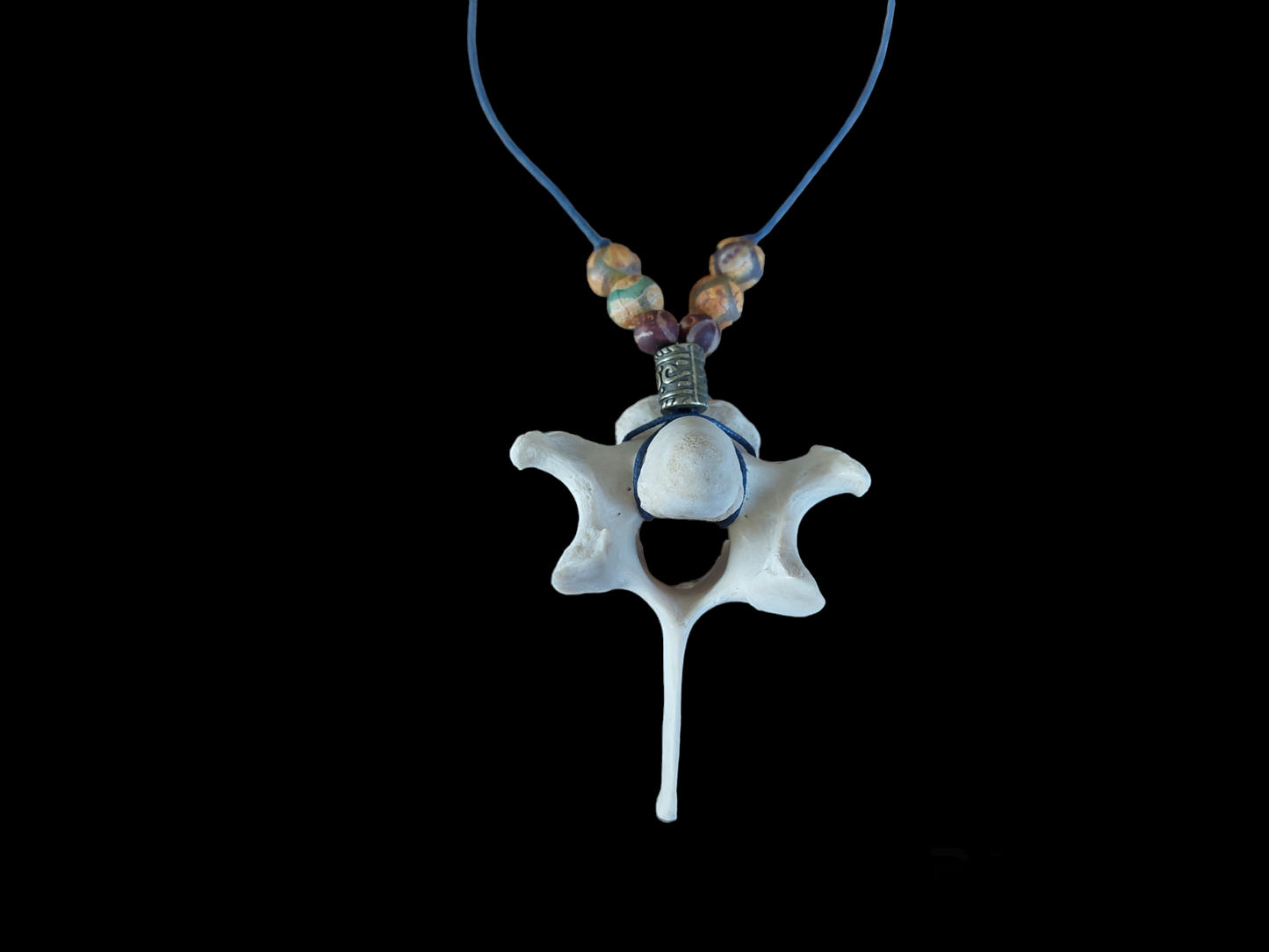Roe deer vertebra amulet necklace