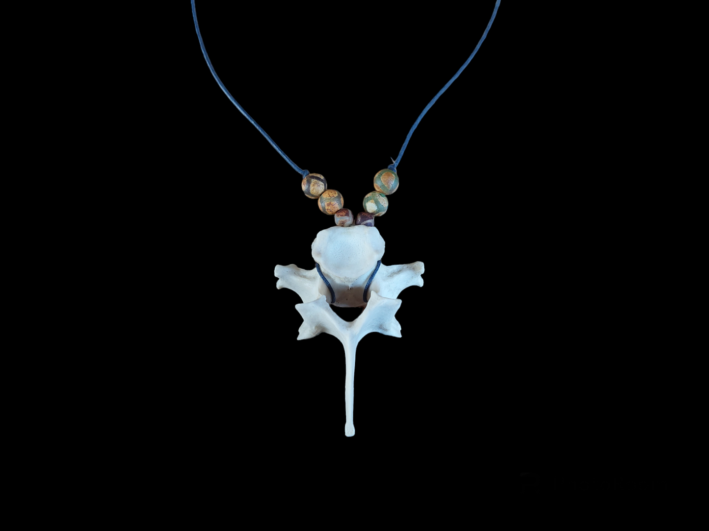 Roe deer vertebra amulet necklace