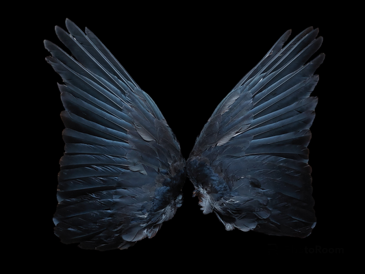 Crow set of wings #15