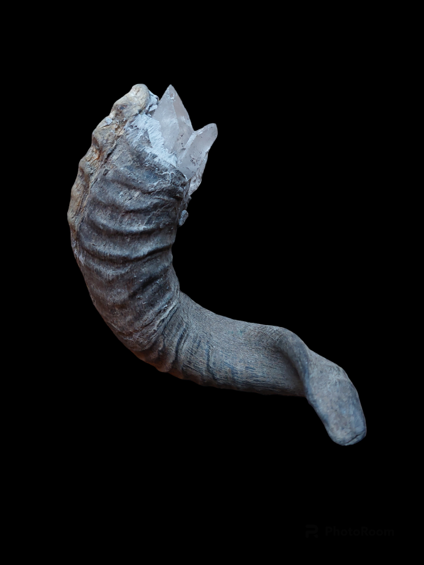 Old Nepalese shamanic horn stick #2