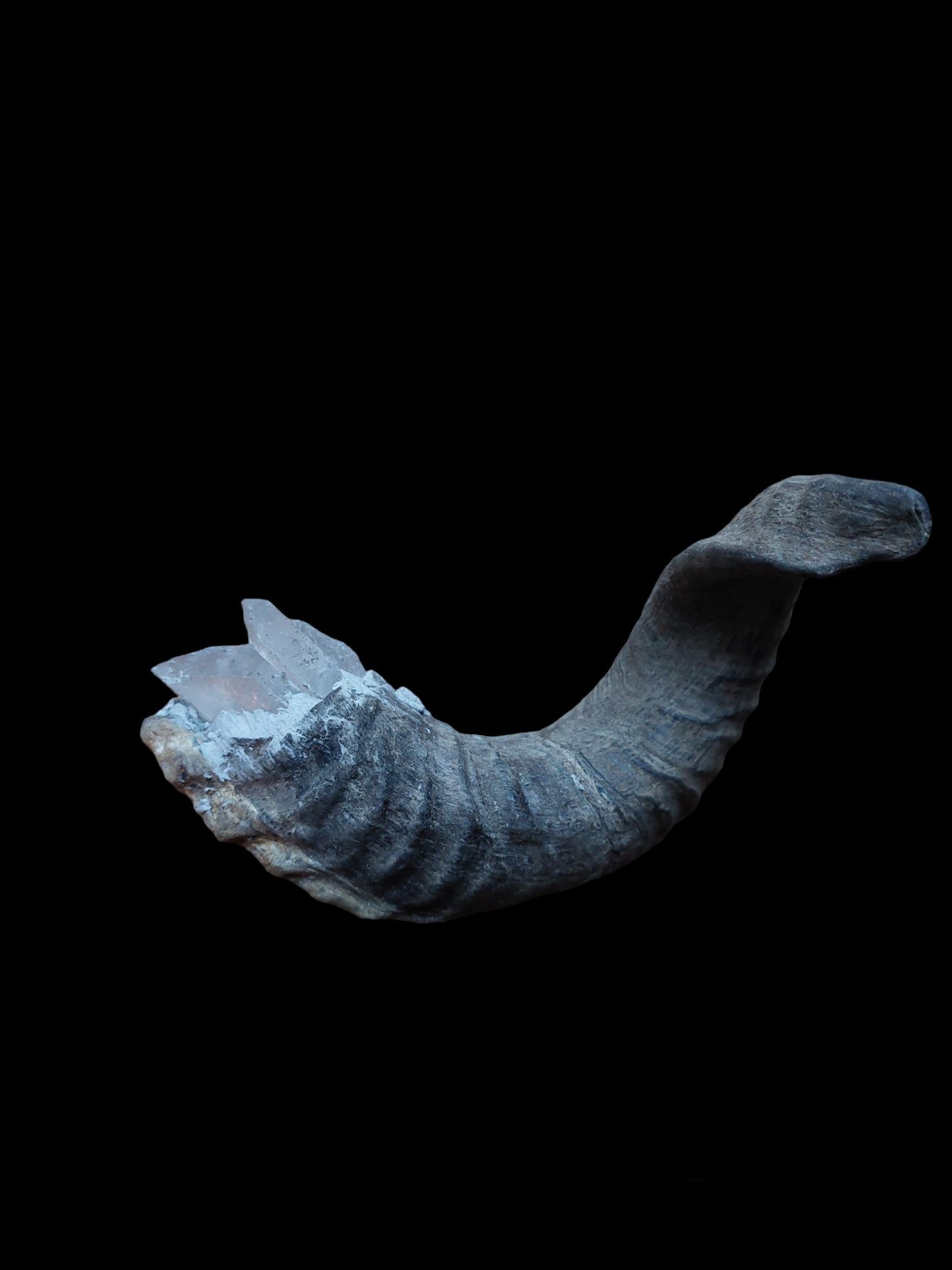 Old Nepalese shamanic horn stick #2