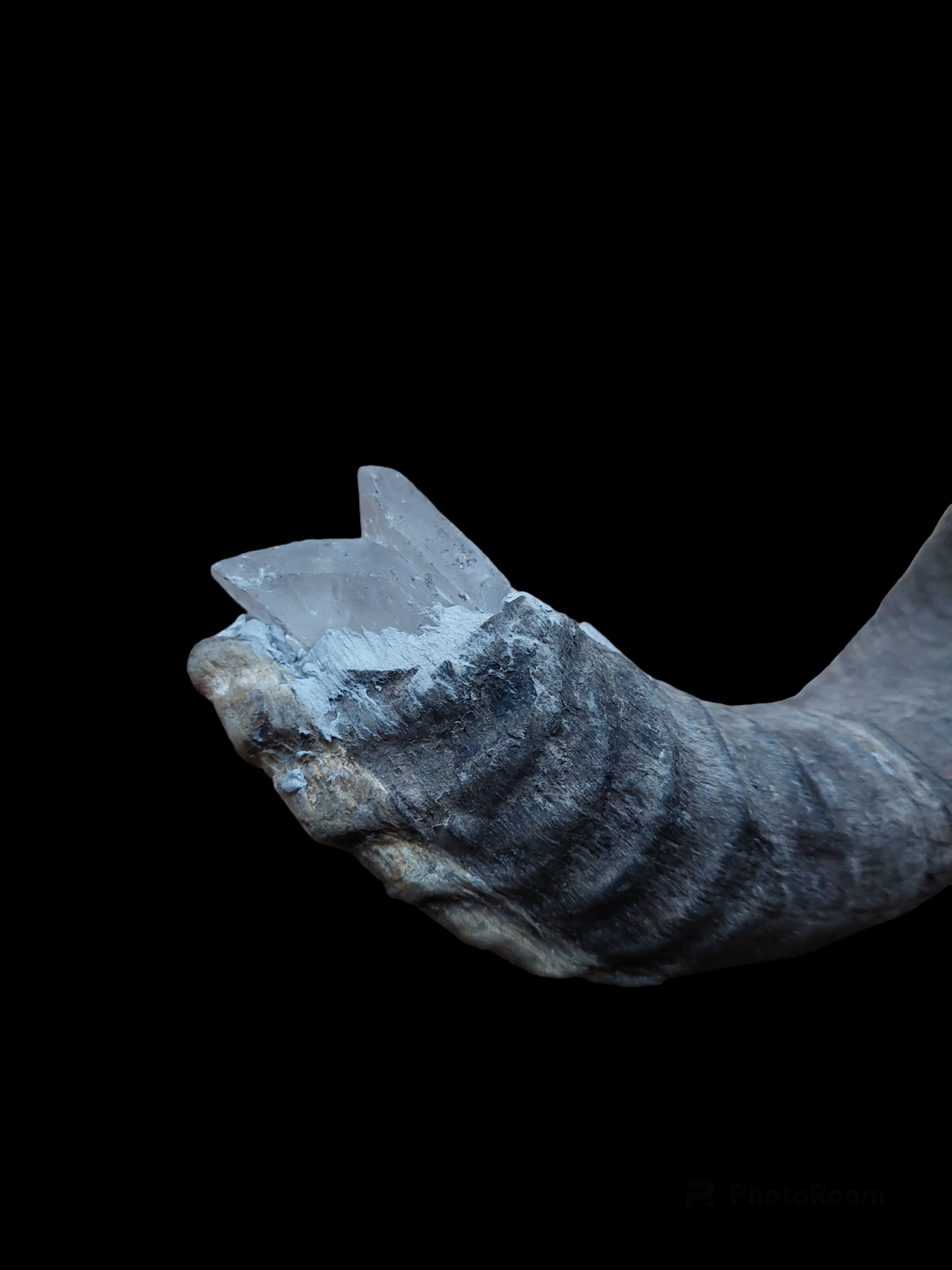 Old Nepalese shamanic horn stick #2