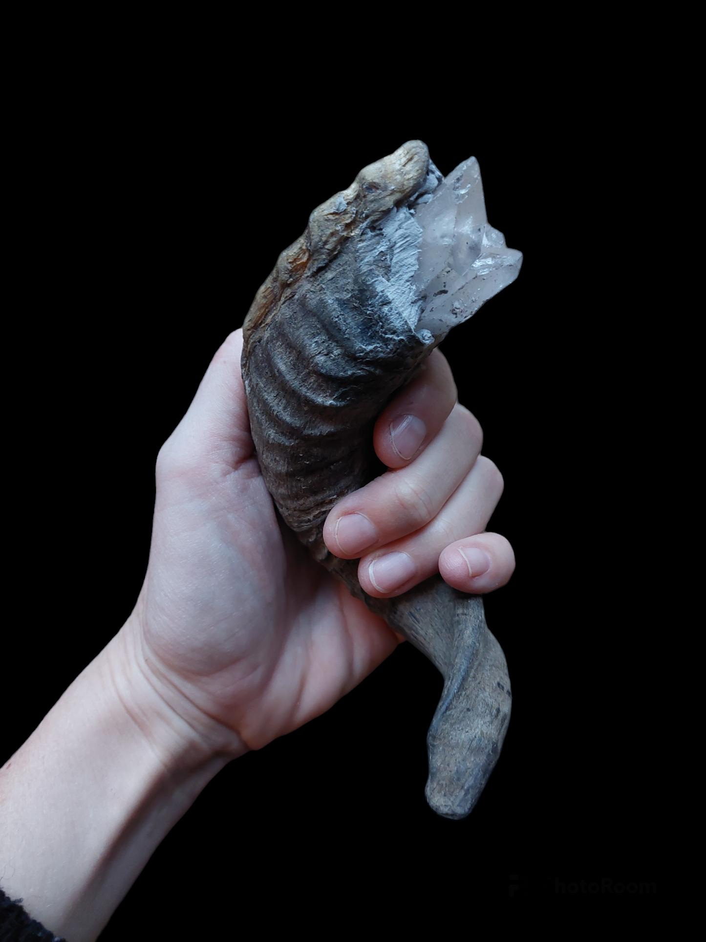Old Nepalese shamanic horn stick #2