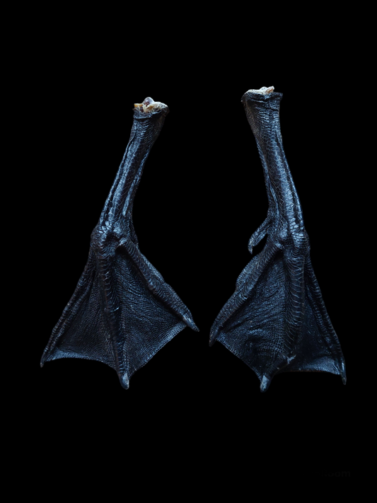 Barnacle goose lower legs, set of 2, #2