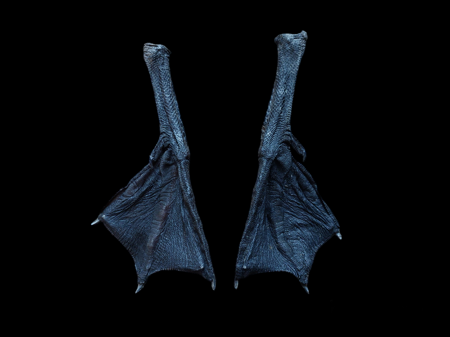 Barnacle goose lower legs, set of 2, #2